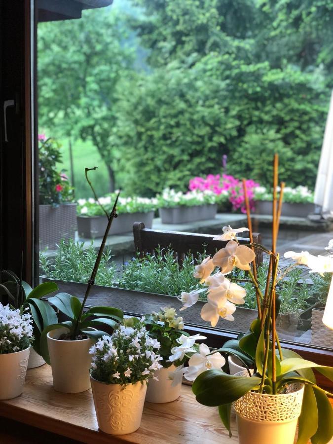 Poncyljuszowka Apartment ชเจอร์ค ภายนอก รูปภาพ