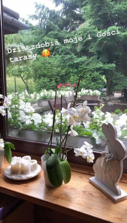 Poncyljuszowka Apartment ชเจอร์ค ภายนอก รูปภาพ